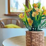 Appartement Residenza Bouganville