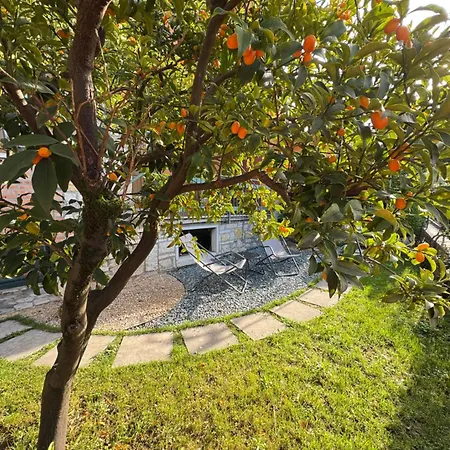 Residenza Bouganville